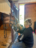 Mastering the Equine Mouth -equine dentistry series