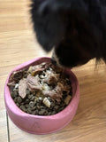 Pet Nutrition & Cleanses with Alignment Series
