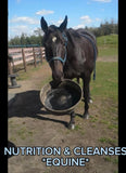 Nutrients To Die For-Equine