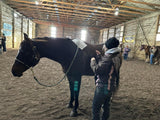 Nutrients To Die For-Equine
