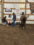 Nutrients To Die For-Equine