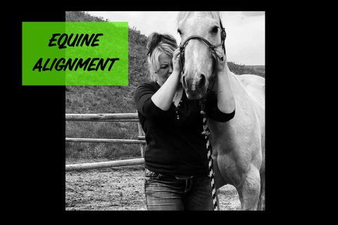 Equine Alignment