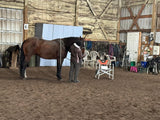 Nutrients To Die For-Equine