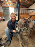 Mastering the Equine Mouth -equine dentistry series