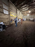 Nutrients To Die For-Equine