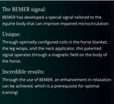 Bemer -Equine