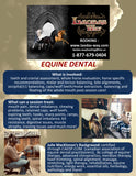 Equine Dentistry