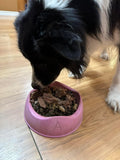 Pet Nutrition and Cleanses