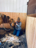 Equine Alignment
