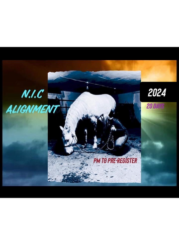 N.I.C Advanced Alignment 20 Day Series