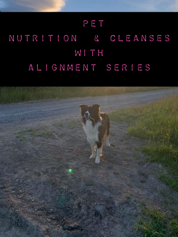 Pet Nutrition & Cleanses with Alignment Series
