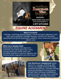 Equine Alignment