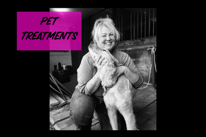 PET TREATMENTS