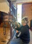 Mastering the Equine Mouth -equine dentistry series