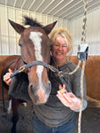 Mastering the Equine Mouth -equine dentistry series