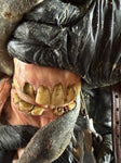 Mastering the Equine Mouth -equine dentistry series