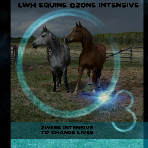 Ozone Therapy