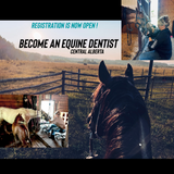 Mastering the Equine Mouth -equine dentistry series