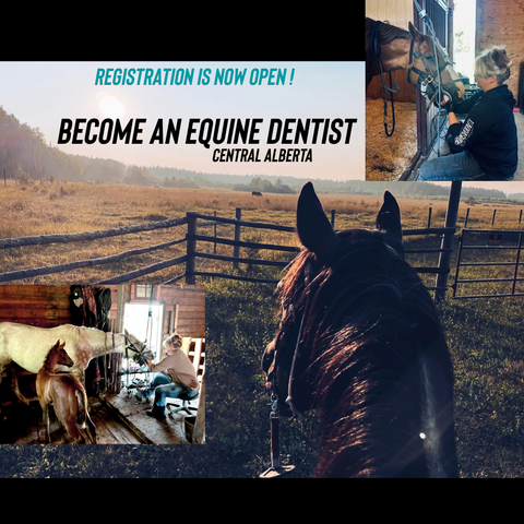 Mastering the Equine Mouth -equine dentistry series