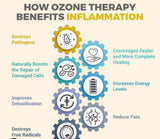 Ozone Home Generator