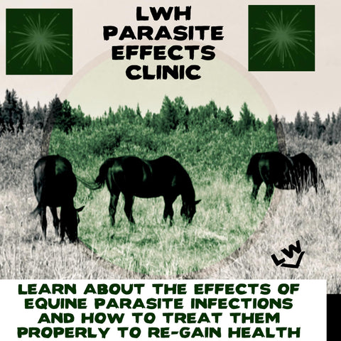 LWH EQUINE Parasite Effects Clinic