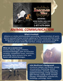 Animal Communication & Energy Work